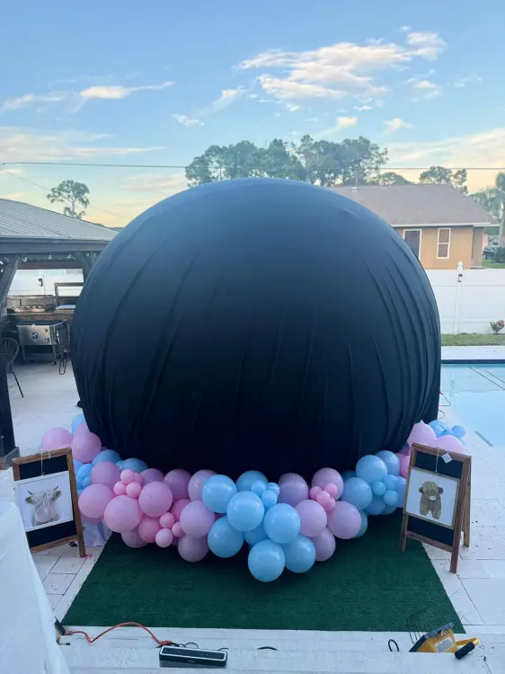 Gender Reveal Bubble