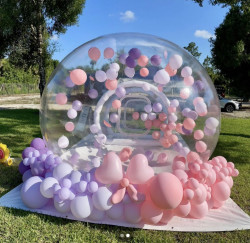 IMG 8836 1771985675 Party Burble